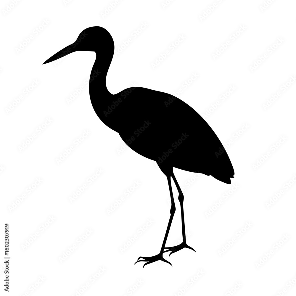 Obraz premium Buck bird Minimalist bird illustration, black outline, white background, long-necked wading bird, heron silhouette, simple curved lines, graphic design style, vector art, stylized wildlife icon, clean