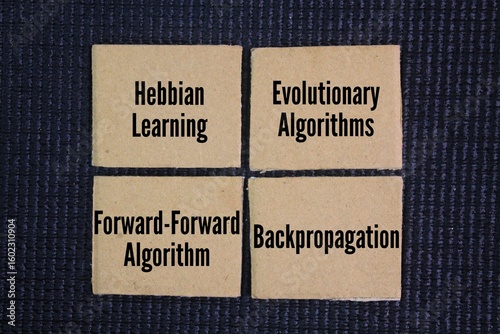 The Four Pillars of AI Learning are Hebbian Learning, Evolutionary Algorithms, Forward-Forward Algorithm and Backpropagation