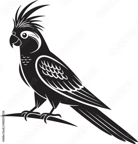 Black cockatoo perched on branch parrot bird