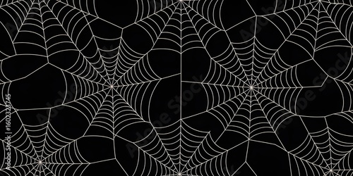Intricate white spiderwebs create a detailed spooky and abstract pattern on a black background