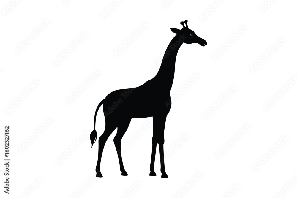 Fototapeta premium giraffe vector illustration