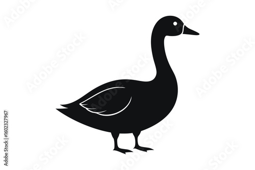 goose on white background