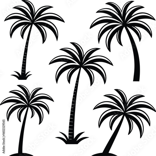Five black silhouette palm trees with stylized fronds and grass bases on a white background tropical