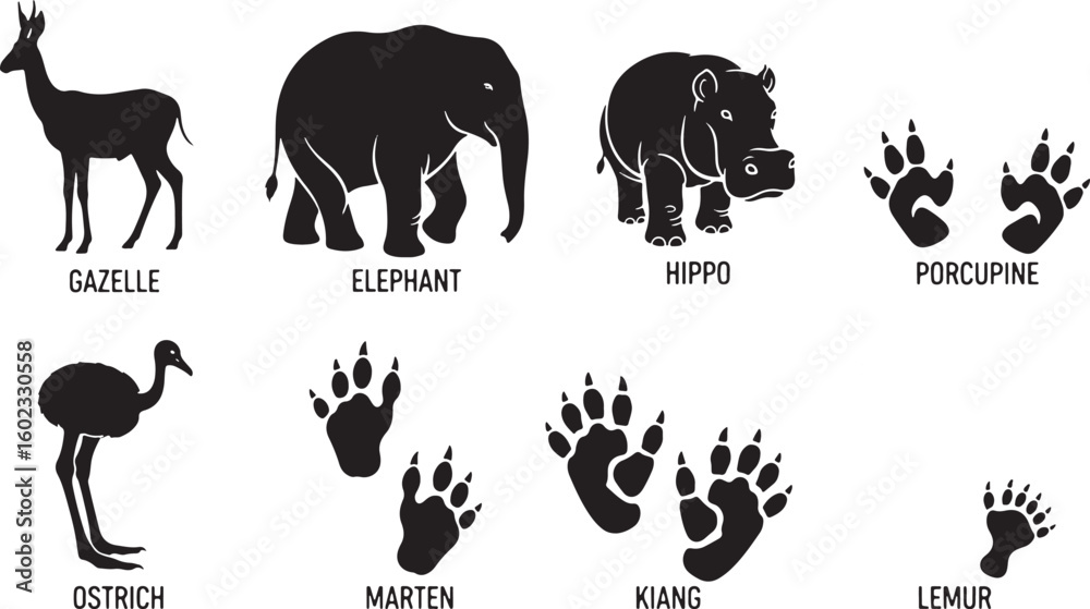 Obraz premium Animal silhouettes and paw prints gazelle elephant, gazelle, elephant, hippo, porcupine, ostrich, marten, kiang, lemur, paw prints, animal tracks, black and white, illustration, wildlife, safari, zoo,