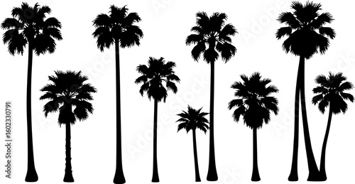 "black silhouette of eight various shaped palm trees, isolated on a white background, minimalist style, clean lines, vector illustration"

