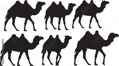 Black camel silhouettes walking dromedary animal, camel, dromedary, animal, silhouette, black, white, walking, desert, travel, caravan, mammal, creature, wildlife, expedition, journey, transport, pack