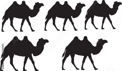Black camel silhouettes walking dromedary animal, camel, dromedary, animal, silhouette, black, white, desert, mammal, creature, quadruped, wildlife, travel, journey, caravan, pack animal, desert anima