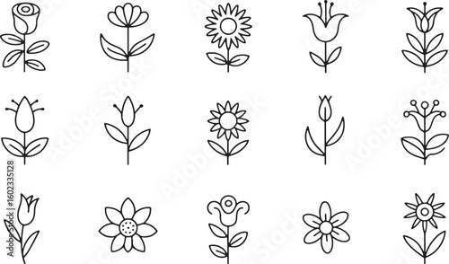 Various stylized floral illustrations with stems and leaves botanical line art