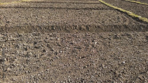 Dry Plowed Agricultural Field Ready for Rice Planting