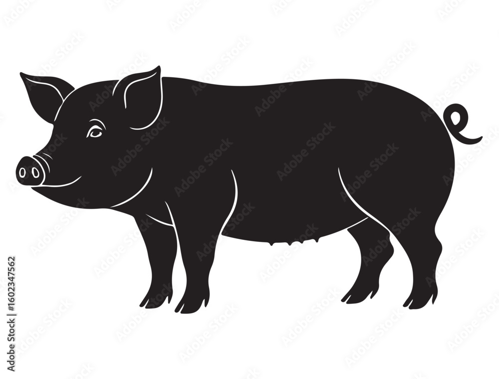 Fototapeta premium PIG SILHOUETTE