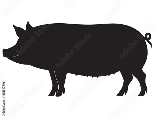 PIG SILHOUETTE