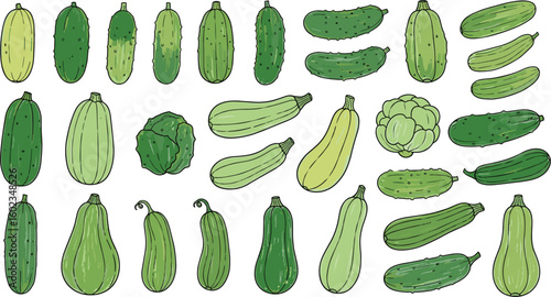 Vegetables assortment shows various cucumbers and zucchini. Healthy eating, vegetarian diet, agriculture, fresh produce, farm, organic food, nutrition.