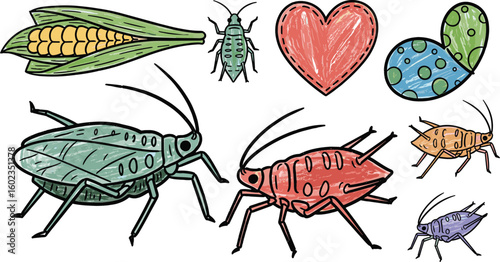 Colorful drawing of aphids and corn. Pests, insects, agriculture, garden, crop infestation, farming, nature, natural, food, sketch.