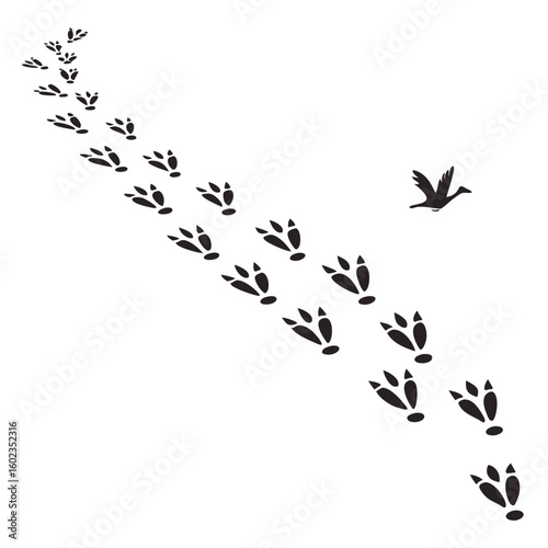 Black silhouette paw prints and bird tracks forming a diagonal line isolated on white background silhouette