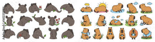 Cartoon tapirs and capybaras in different poses. Cute mammal, wildlife, character, animal, drawing
