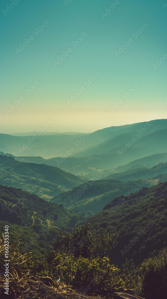 Obraz premium Serene Misty Mountain Landscape: Tranquil Green Hills, Vintage Tone, Summer Atmosphere