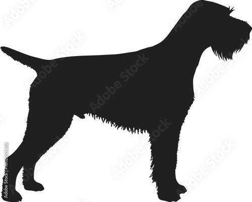 Silhouette of an irish wolfhound standing with a bushy beard and a short tail in a side profile view created with generated ai