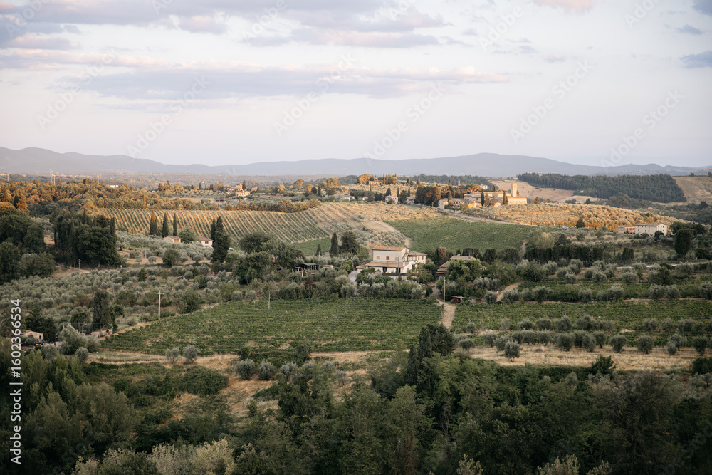 Fototapeta premium Golden hour illuminating rolling hills and vineyards in tuscany, italy