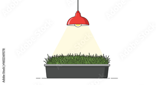 Indoor gardening grow light plant growth cycle illumination for home cultivation