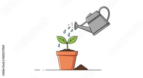 Small green plant growing in a terracotta pot being watered by a watering can