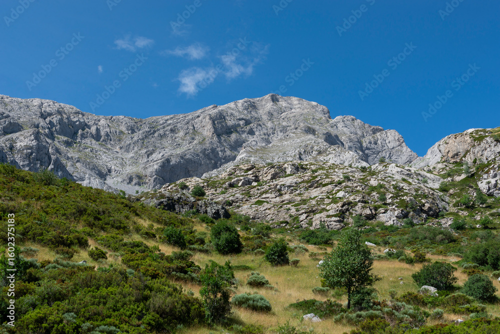 Obraz premium Vista de Peña María desde Triollo, en la Montaña Palentina. Tomada en julio de 2025 en Palencia, España.