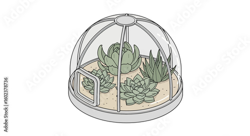Succulent terrarium in glass dome, indoor plant display