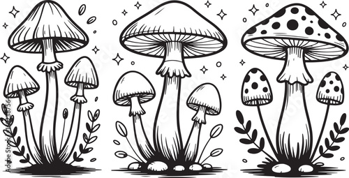 Black and White Mushrooms with Leaves and Stars Illustration