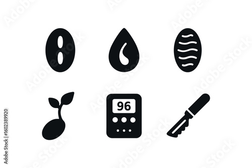 solid icon isolated seed husk coating seed embryo core seed coat fiber seed germination chamber seed viability tester seed scarification tool