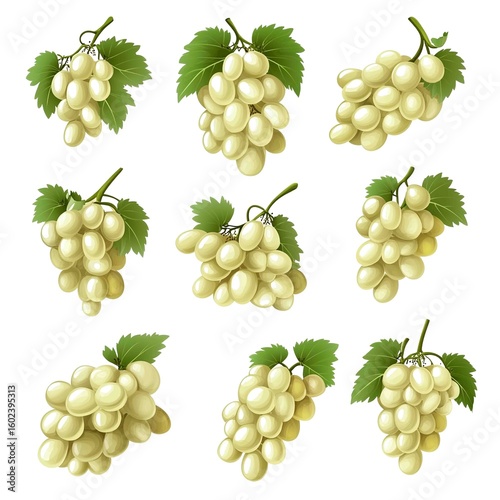 32-bit of Grape, in a vector style, isolated white background
