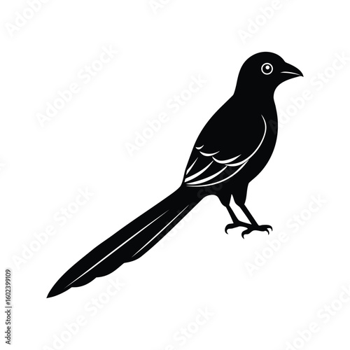a trogon bird full black silhouette vector illustration on white background