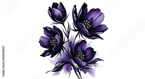 Purple anemone flowers blooming vibrantly in watercolor painting on white background