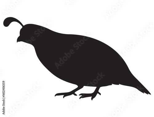 QUAIL SILHOUETTE