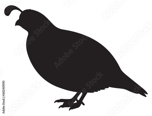QUAIL SILHOUETTE