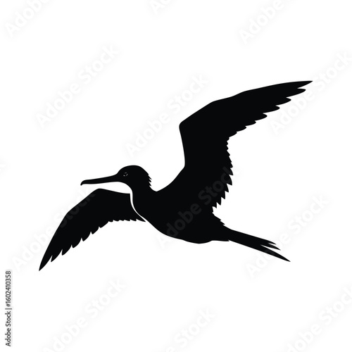 a frigate bird full black silhouette vector illustration on white background