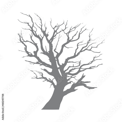 Silhouette of dead tree

