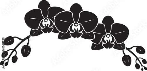 Black silhouette of orchid flowers. Vector illustration.