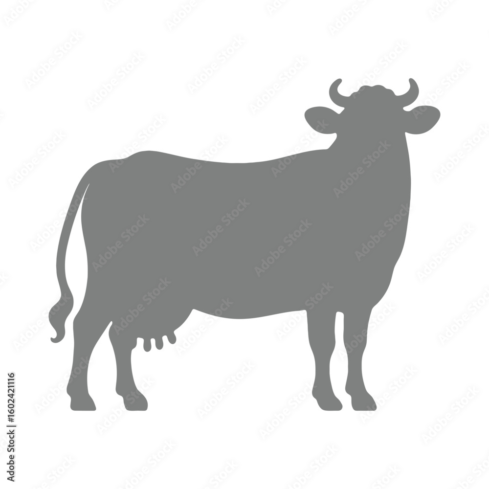 Fototapeta premium Silhouette of cow