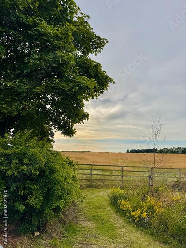 A scenic view of a lush green pathway leading through wildflowers to a wooden gate overlooking golden fields, with a large leafy tree on the left and a soft summer sky above.