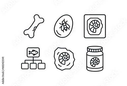 straight perfect out stroke icon mono icons style isolated fossil bone fragment fossil amber inclusion fossil molding press fossil taonomy chart fossil rock matri sample fossil conservation