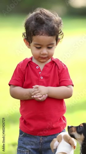 An Adorable Toddler in a Red Shirt Surrounded by a Litter of Playful Puppies in a Grassy Park, Ideal for Heartwarming and Cute Animal Videos