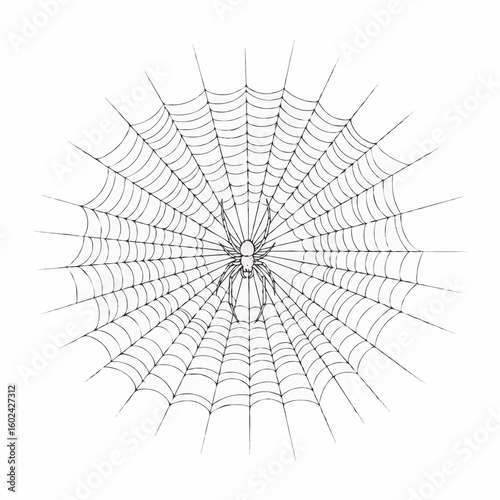broken glass spider web