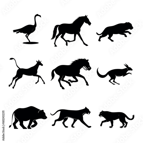 Silhouettes of Fast-Running and Jumping Animals