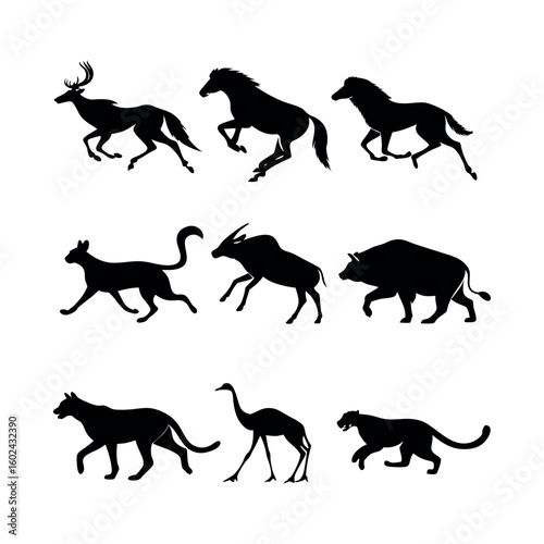 Canvas Print Silhouettes of Fast-Running and Jumping Animals