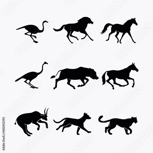 Silhouettes of Fast-Running and Jumping Animals