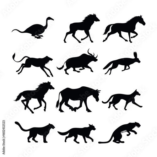 Photography Silhouettes of Fast-Running and Jumping Animals