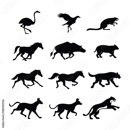 Photography Silhouettes of Fast-Running and Jumping Animals