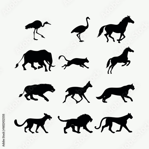 Photography Silhouettes of Fast-Running and Jumping Animals