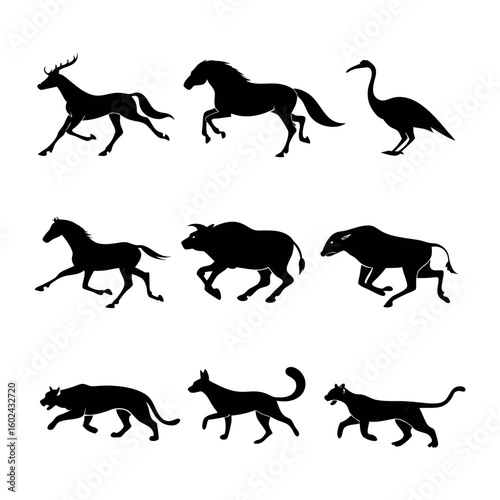 Silhouettes of Fast-Running and Jumping Animals
