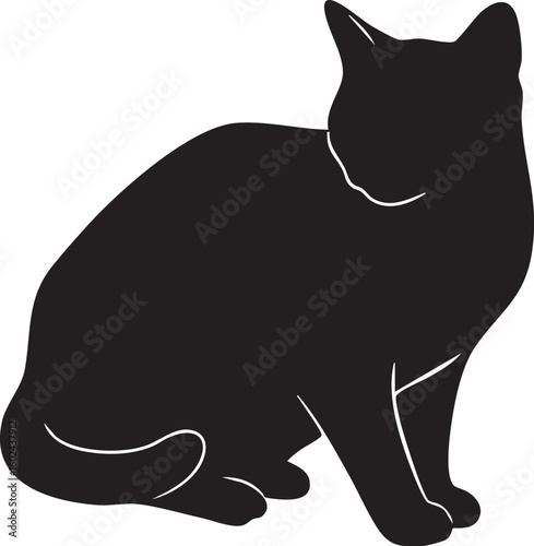 Black cat sitting gracefully in a detailed silhouette