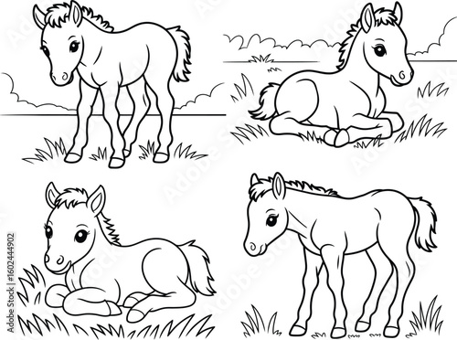 Four Adorable Baby Foals  Cute Horse Line Art Vector Illustration for Kids Coloring Page